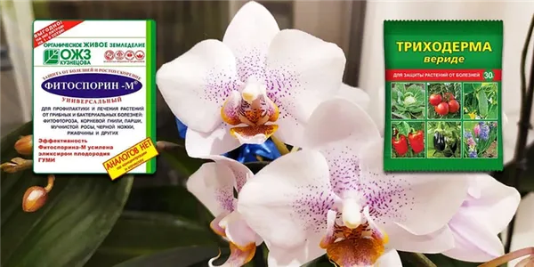 Фитоспорин и Триходерма для орхидей