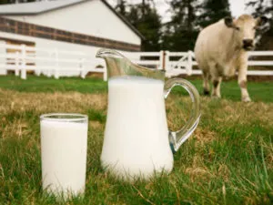Что влияет на качество молока?