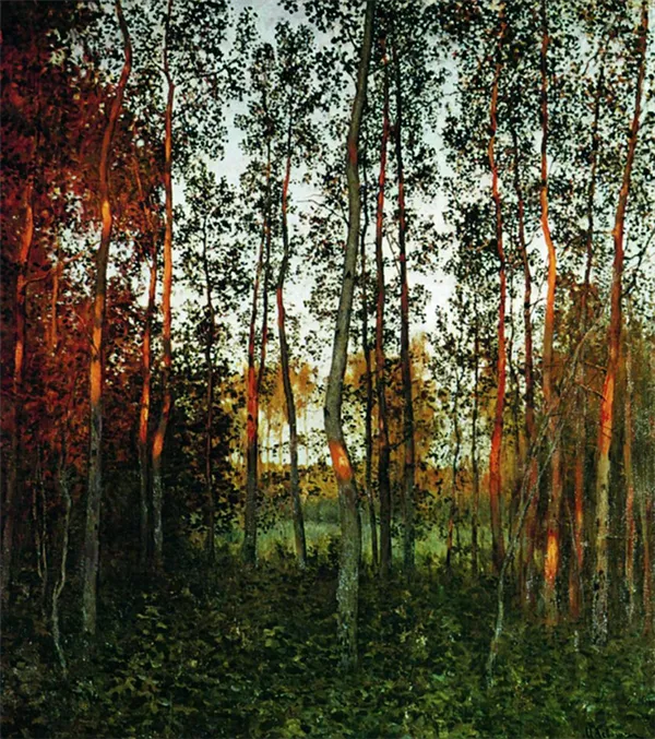 Как выглядит осина: фото дерева и листьев