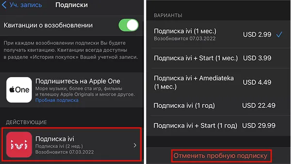 Отмена подписки IVI в мобильном приложении на iOS