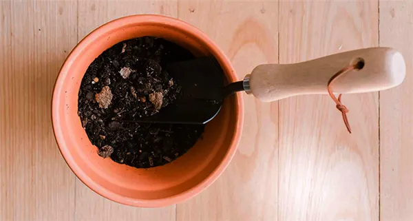 Почва для растения