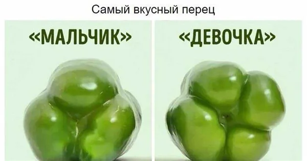 Как выбрать болгарский перец