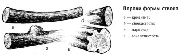 Пороки формы ствола