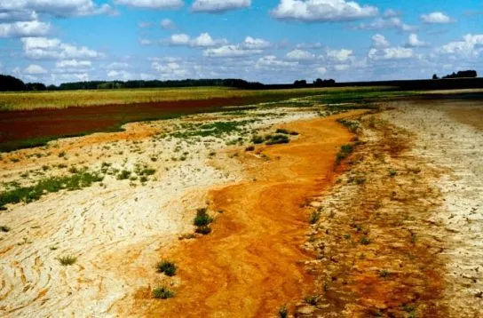 засоление почвы в Казахстане