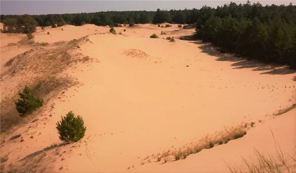 Арчединско-Донские пески