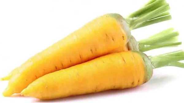 Полезные свойства желтой моркови, и в чем отличие от обычной оранжевой