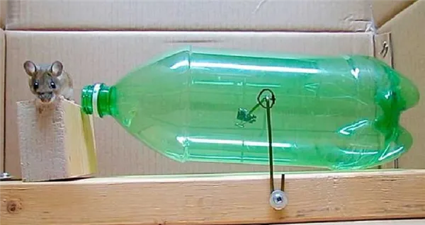 Ловушка из бутылки