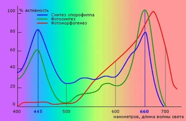 Пики оптического спектра для фотосинтеза