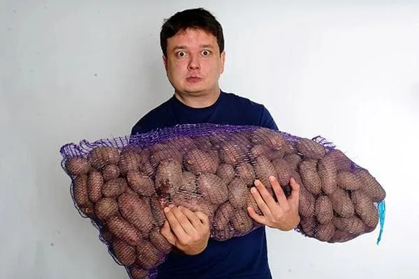 Мужчина с мешком картошки