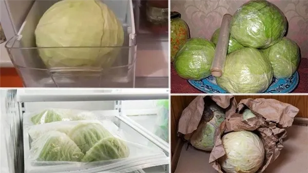 Как правильно хранить капусту в морозилке, холодильнике и без охлаждающих устройств