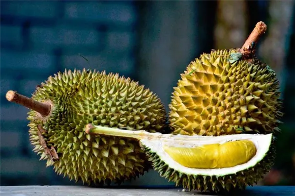 02-durian.jpg