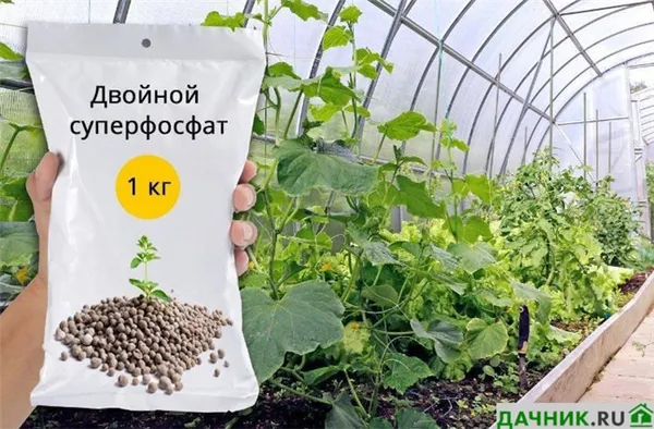 Удобрение Суперфосфат: инструкция по применению на огороде от опытного дачника