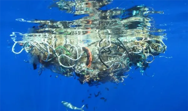 Чем опасно загрязнение воды? Считается, что к 2015 году в океане будет больше пластика, чем рыбы. Фото.