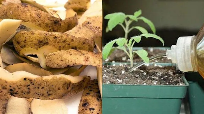 для каких растений используют картофельные очистки