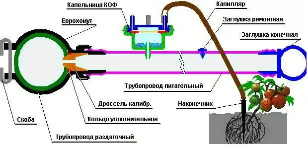 Схема устройства капельного полива из капельниц