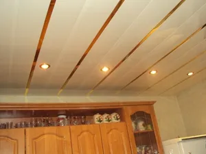 Потолок из пластиковых панелей на кухне 