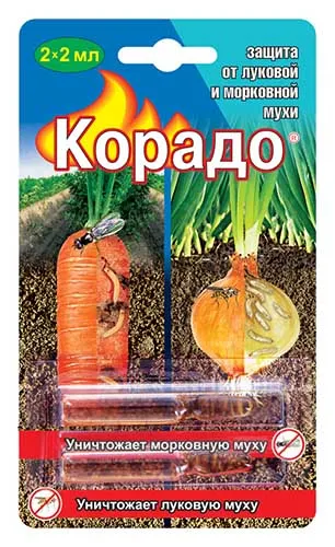 Химический препарат Корадо против морковной мухи