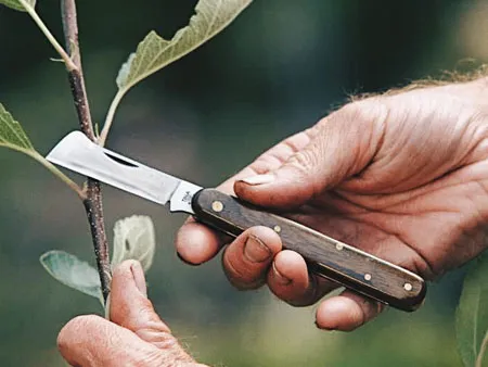 садовый нож для прививок