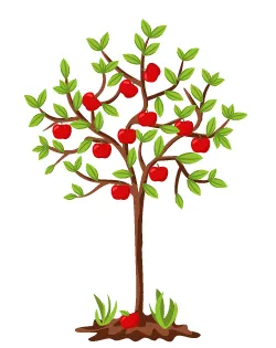 Яблоневая плодожорка и эффективные методы борьбы с ней