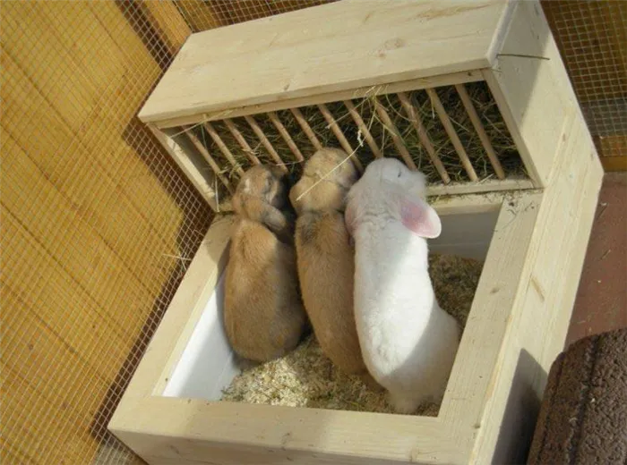 ясельная кормушка для кроликов