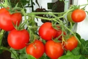 Комнатные томаты