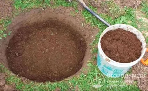 Опытные садоводы часто готовят ямы заранее, с осени, удобряя почву органикой – навозом, компостом, торфом или перегноем
