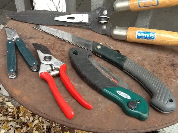 Инструменты для обрезки дерева