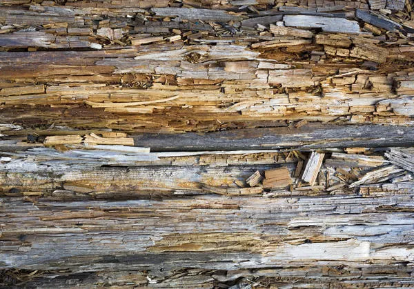 Существует много факторов, разрушающих древесину