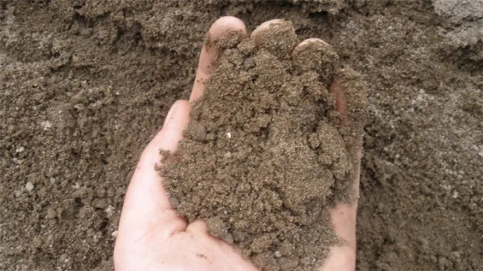 способ определения механического состава почвы - суглинок