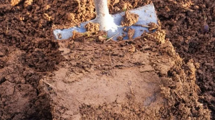 способ определения механического состава почвы - средний суглинок