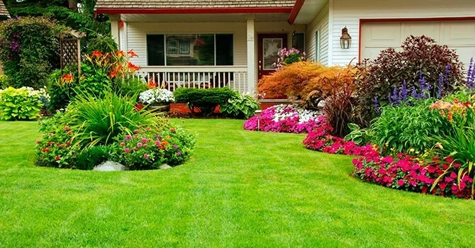Как сделать газон возле дома