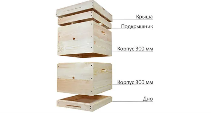 Многокорпусные ульи Дадана