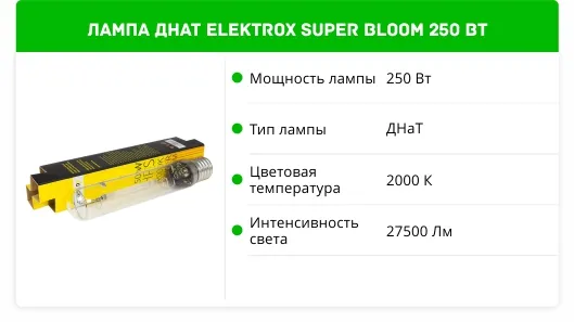 Elektrox SUPER BLOOM
