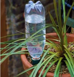 полив растений с помощью бутылки, как поливать цветы в отпуске