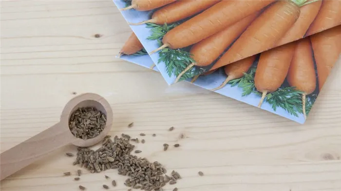 Лучшие способы и лайфхаки, как сажать морковь чтобы не прореживать