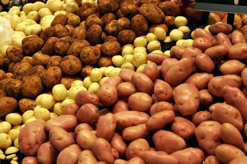 Сорта картофеля для жарки и пюре. 40 сортов картофеля для пюре, жарки, запекания и картошки фри 01