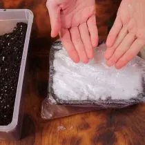 Насыпьте поверх семян небольшой слой снега и создайте мини-парник