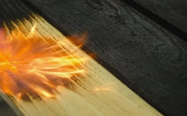 Структурные изменения древесины под воздействием обжига