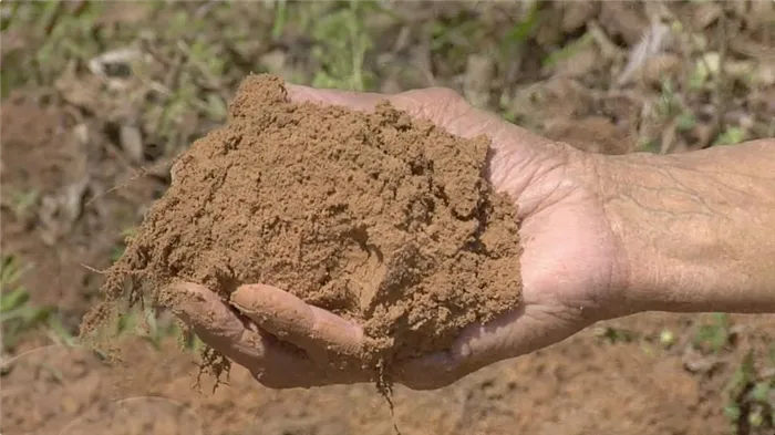 Гранулометрический состав почв и почвообразующих пород и его значение