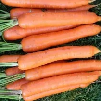Морковь «Тушон»
