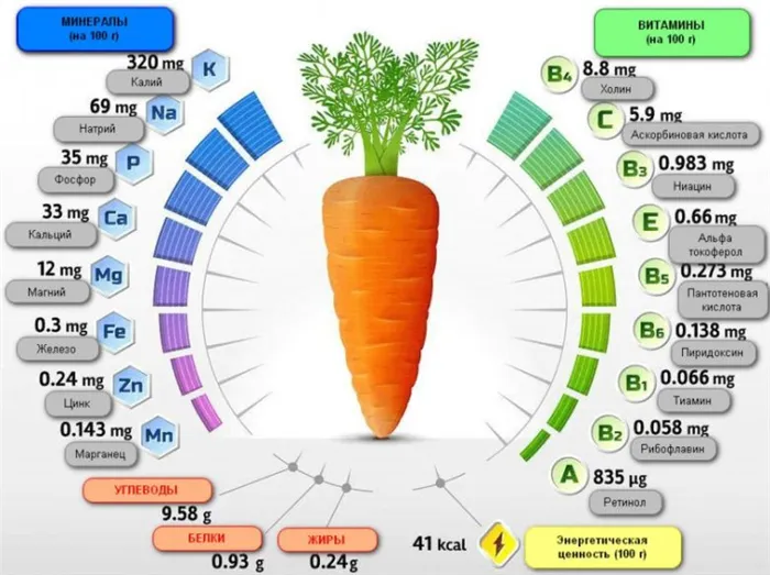 общий химический состав моркови