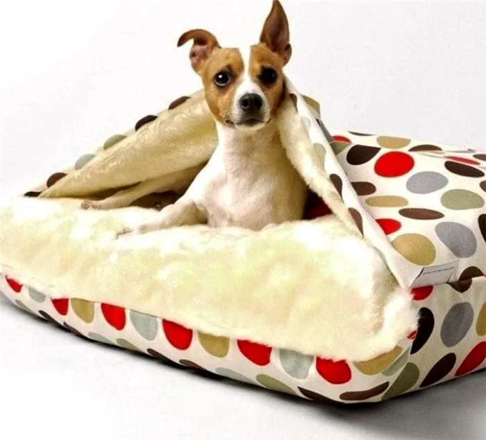 Небольшим гладкошёрстным собачкам намного уютнее находиться в домике или на лежанке с верхним чехлом