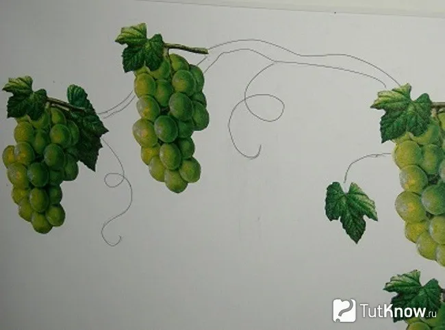 Рисование виноградной лозы