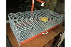 Брудер-клетка для выращивания цыплят 