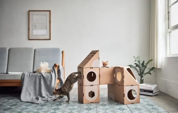 Домик для кошки из картона своими руками