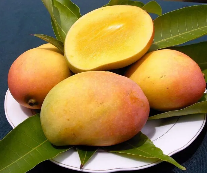 Зрелый плод манго