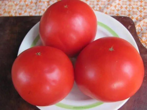Обзор самых лучших сортов грунтовых томатов ранние сладкие урожайные Какие сорта помидор лучше сажать в мордовии