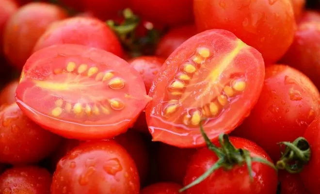 Как собрать и сохранить семена помидоров в домашних условиях Как правильно собрать семена помидор