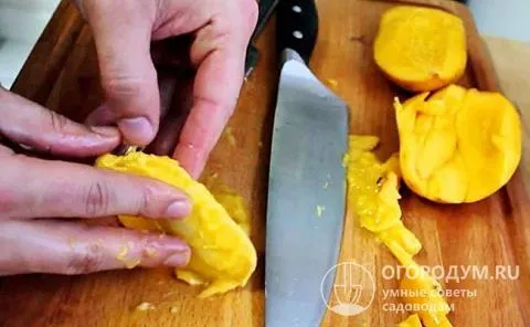 Как вырастить манго из косточки Как вырастить манго в домашних