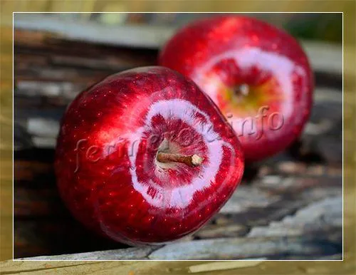 Лучшие красные сорта яблок с описанием и фото Яблоки красные внутри что за сорт